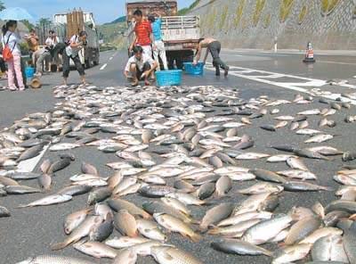 空中降魚(yú)視頻 揭秘罕見(jiàn)空中降魚(yú)現象原理，末日預兆恐怖的空中降魚(yú)實(shí)圖