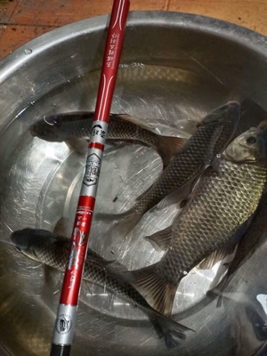 霸將清風(fēng)魚(yú)竿怎么樣好不好用2