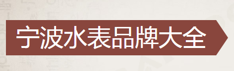 寧波水表廠(chǎng)家十排名（寧波水表有限公司怎么樣）