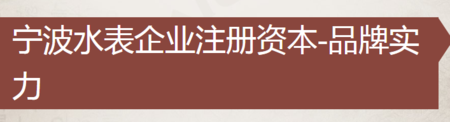 寧波水表廠(chǎng)家十強