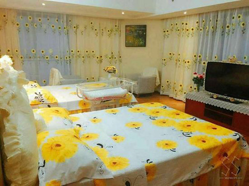 蕪湖月子中心示意圖