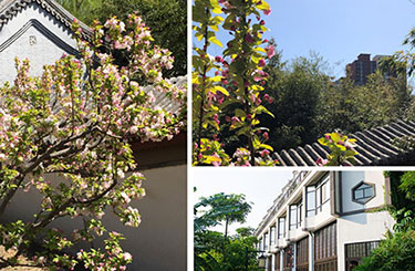 昌平區禧月薈環(huán)境