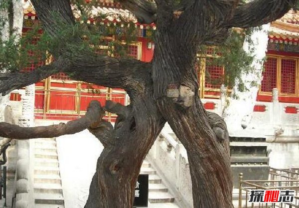 故宮兩個(gè)地方不能照相,冷宮里面照相會(huì )犯忌諱