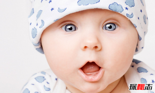 關(guān)于眼睛的12個(gè)瘋狂事實(shí),每只眼睛都含有1.07億個(gè)細胞