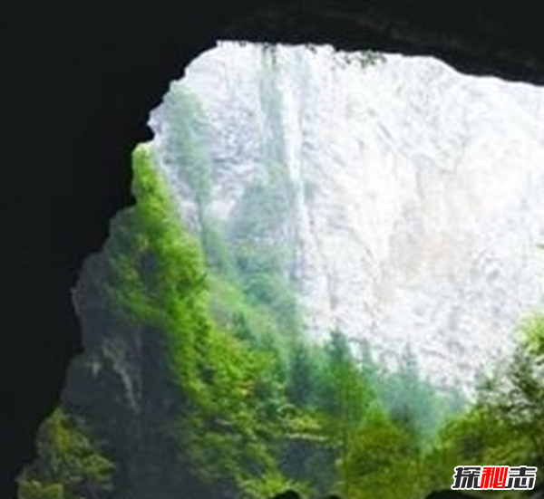湖北利川天坑之謎,坑口直徑3米多發(fā)出惡臭(腐爛棺木)