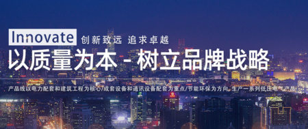 導軌式電表什么牌子好？
